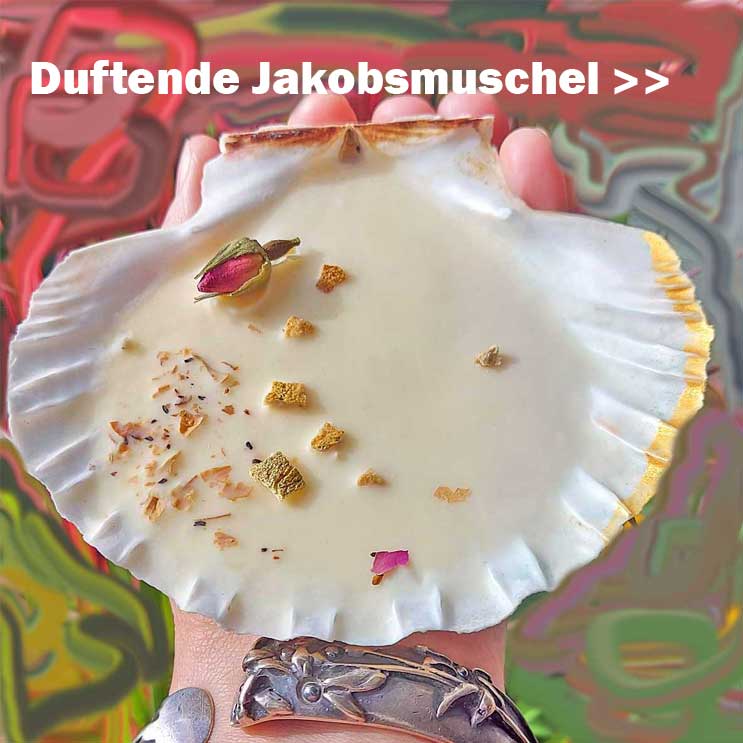 Diese duftende Jakobsmuschelschale ist ein langlebiges Naturprodukt. Gute Laune Zauber Natur-Garden Diese duftende Jakobsmuschelschale ist ein langlebiges Naturprodukt. Gute Laune Zauber Natur-Garden