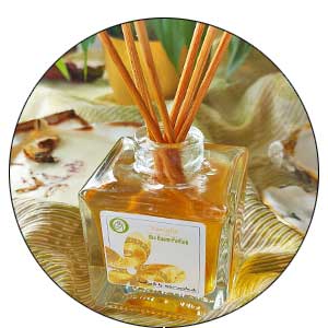 Bio Raum-Parfum Reed Diffusers und Aromasprays Natur-Garden Bio Raum-Parfum Reed Diffusers mit reinen ätherischen Ölen und Hydrolaten Natur-Garden